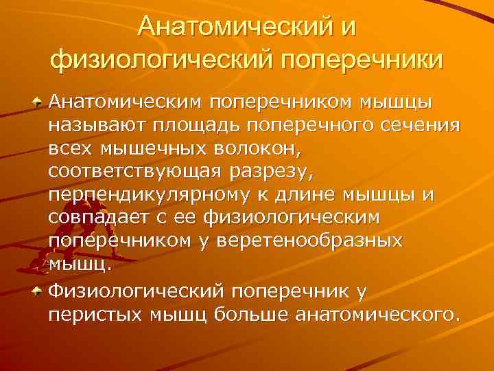Анатомический и физиологический поперечники Анатомическим поперечником мышцы называют площадь поперечного сечения всех мышечных волокон,
