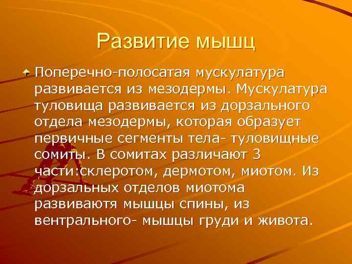 Развитие мышц Поперечно-полосатая мускулатура развивается из мезодермы. Мускулатура туловища развивается из дорзального отдела мезодермы,