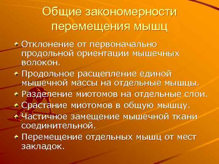 Общие закономерности перемещения мышц Отклонение от первоначально продольной ориентации мышечных волокон. Продольное расщепление единой
