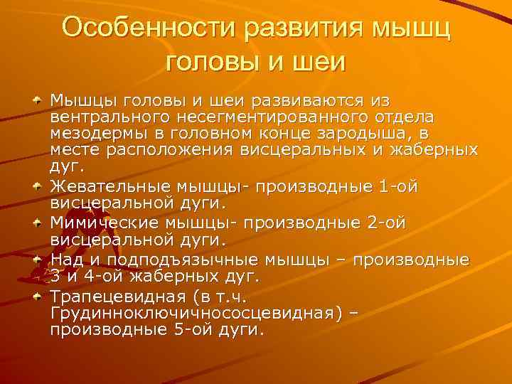 Особенности развития мышц головы и шеи Мышцы головы и шеи развиваются из вентрального несегментированного