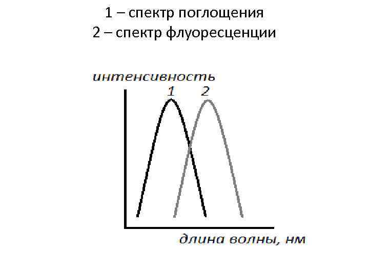 1 – спектр поглощения 2 – спектр флуоресценции 