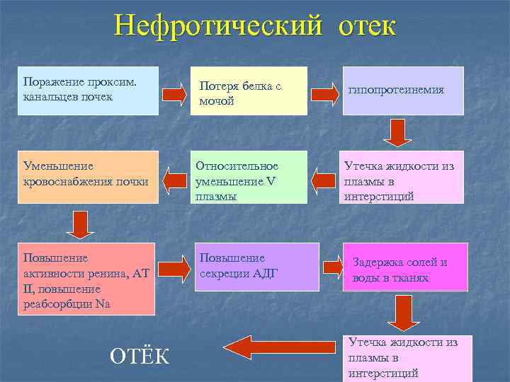 Нефротический отек Поражение проксим. канальцев почек Потеря белка с мочой гипопротеинемия Уменьшение кровоснабжения почки