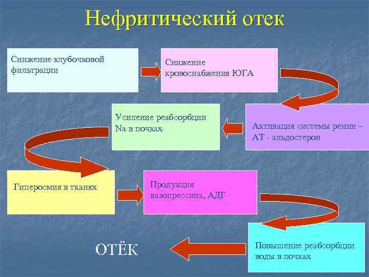 Нефритический отек Снижение клубочковой фильтрации Снижение кровоснабжения ЮГА Усиление реабсорбции Na в почках Гиперосмия