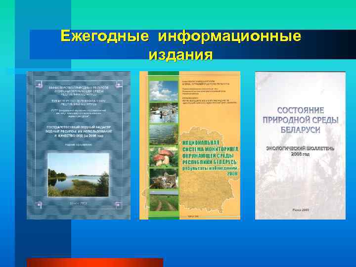 Ежегодные информационные издания 