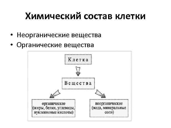 Химический состав клетки • Неорганические вещества • Органические вещества 