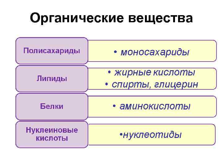 Органические вещества 