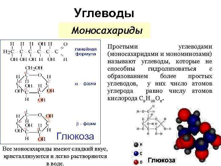 Углеводы Моносахариды Простыми углеводами (моносахаридами и мономинозами) называют углеводы, которые не способны гидролизоваться с