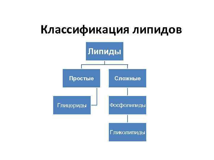Классификация липидов Липиды Простые Глицериды Сложные Фосфолипиды Гликолипиды 