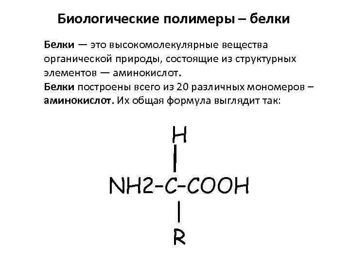 Биологические полимеры – белки Белки — это высокомолекулярные вещества органической природы, состоящие из структурных