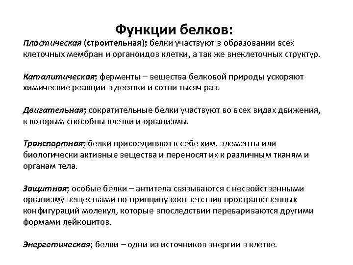 Функции белков: Пластическая (строительная); белки участвуют в образовании всех клеточных мембран и органоидов клетки,