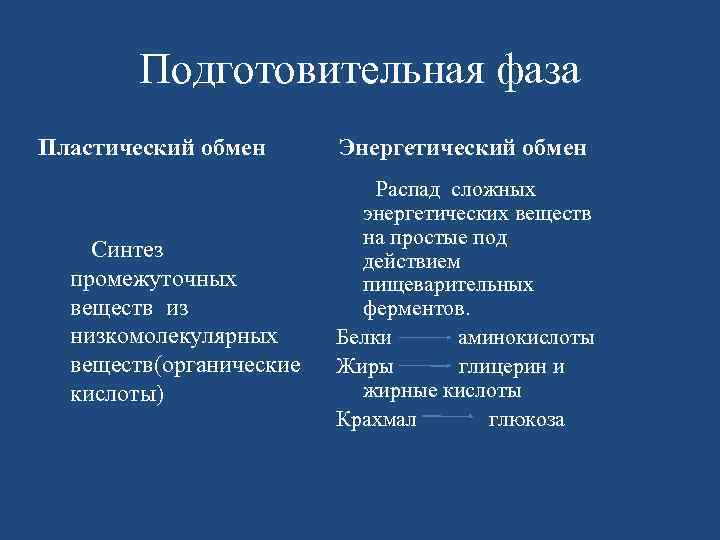 Подготовительная фаза Пластический обмен Синтез промежуточных веществ из низкомолекулярных веществ(органические кислоты) Энергетический обмен Распад