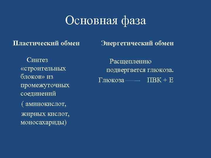 Основная фаза Пластический обмен Энергетический обмен Синтез «строительных блоков» из промежуточных соединений ( аминокислот,