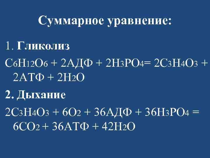 Суммарное уравнение: 1. Гликолиз С 6 Н 12 О 6 + 2 АДФ +
