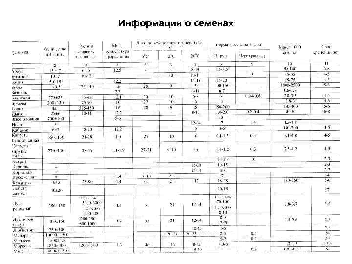 Информация о семенах 