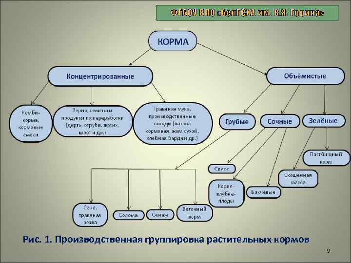 ФГБОУ ВПО «Бел. ГСХА им. В. Я. Горина» Рис. 1. Производственная группировка растительных кормов