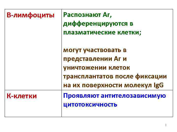 В-лимфоциты К-клетки Распознают Аг, дифференцируются в плазматические клетки; могут участвовать в представлении Аг и