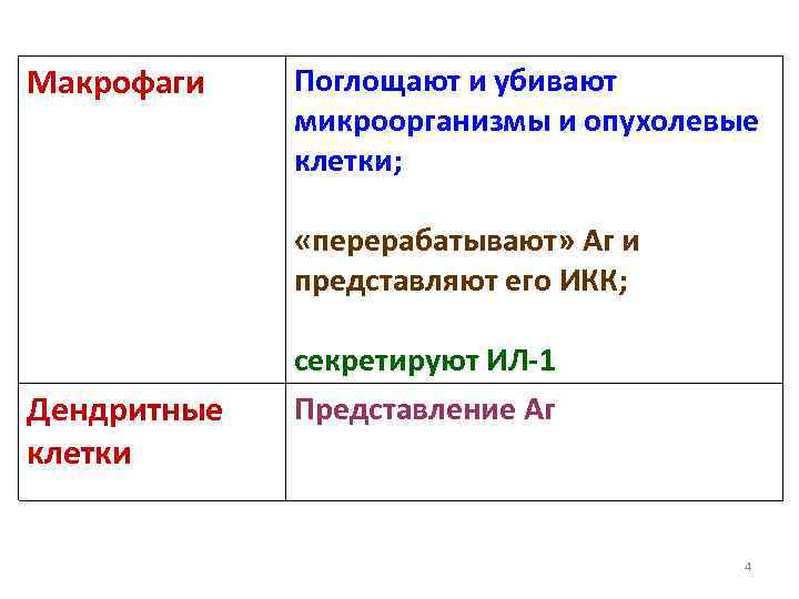 Макрофаги Поглощают и убивают микроорганизмы и опухолевые клетки; «перерабатывают» Аг и представляют его ИКК;