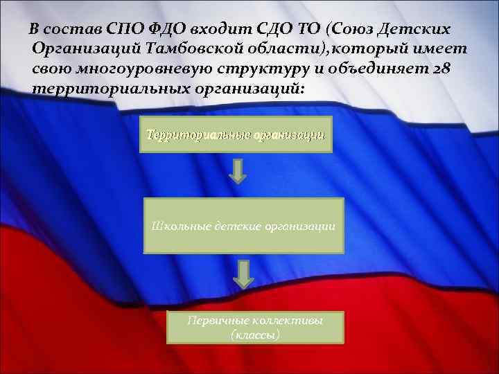 В состав СПО ФДО входит СДО ТО (Союз Детских Организаций Тамбовской области), который имеет