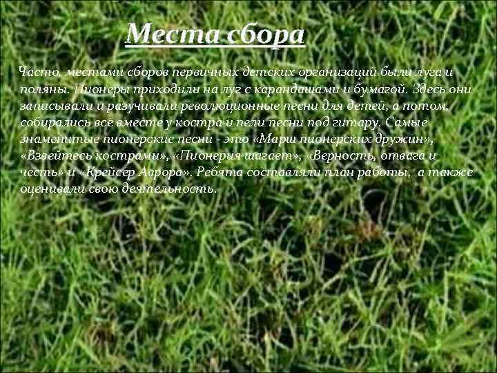 Места сбора Часто, местами сборов первичных детских организаций были луга и поляны. Пионеры приходили