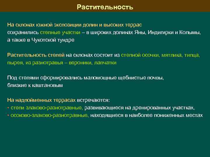 Растительность На склонах южной экспозиции долин и высоких террас сохранились степные участки – в