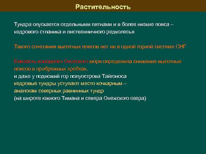 Растительность Тундра опускается отдельными пятнами и в более низкие пояса – кедрового стланика и