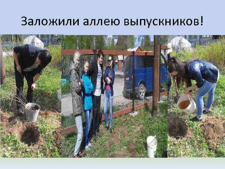 Заложили аллею выпускников! 