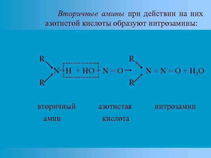Вторичные амины при действии на них азотистой кислоты образуют нитрозамины: R R N H