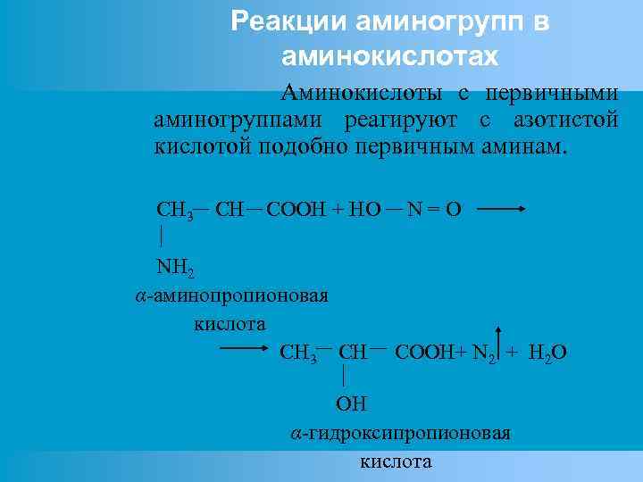 Реакции аминогрупп в аминокислотах Аминокислоты с первичными аминогруппами реагируют с азотистой кислотой подобно первичным