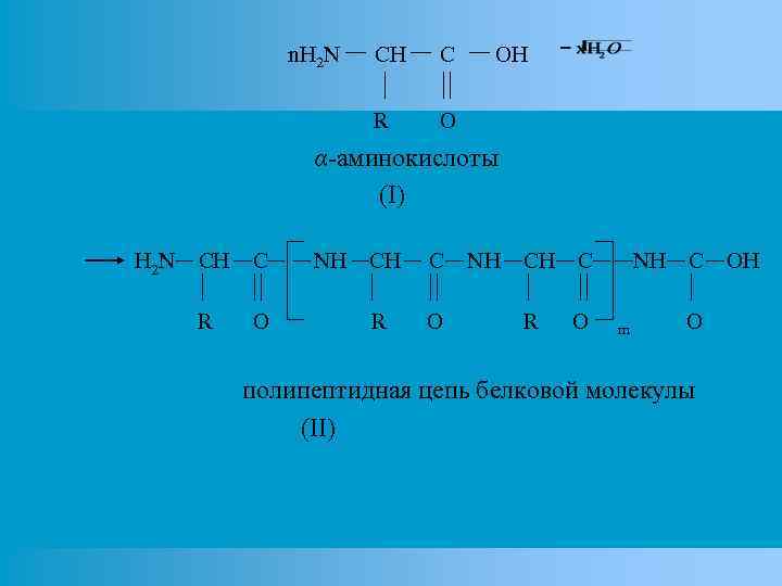 n. H 2 N CH C R OH O α-аминокислоты (I) H 2 N