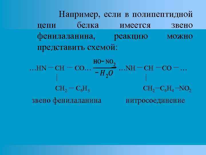 Например, если в полипептидной цепи белка имеется звено фенилаланина, реакцию можно представить схемой: …HN