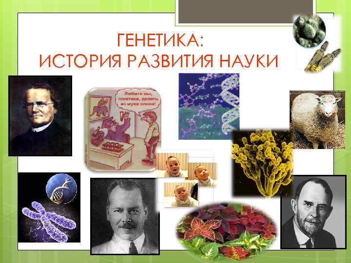 ГЕНЕТИКА: ИСТОРИЯ РАЗВИТИЯ НАУКИ 