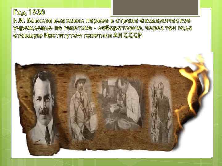 Год 1930 Н. И. Вавилов возглавил первое в стране академическое учреждение по генетике -