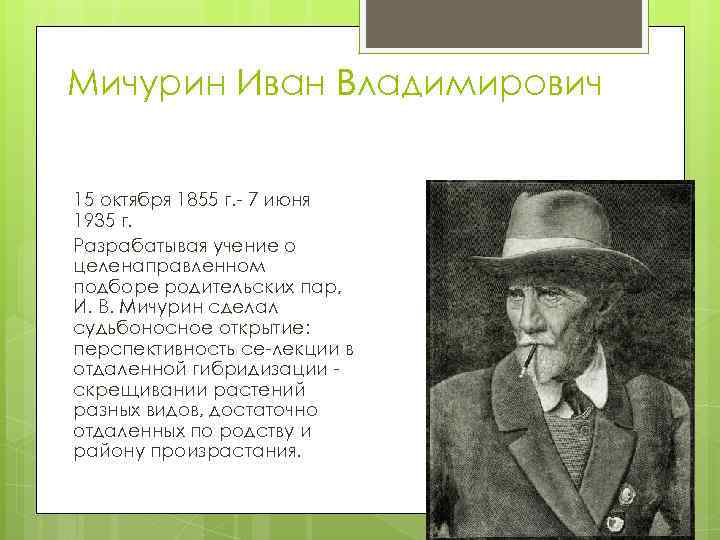 Мичурин Иван Владимирович 15 октября 1855 г. 7 июня 1935 г. Разрабатывая учение о