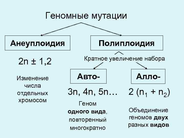 Геномные мутации проект