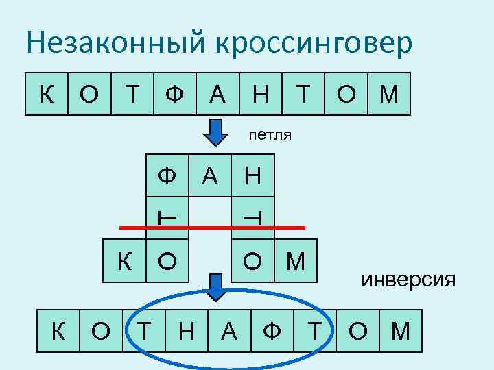 Незаконный кроссинговер К О Т Ф А Н Т О М петля А Н