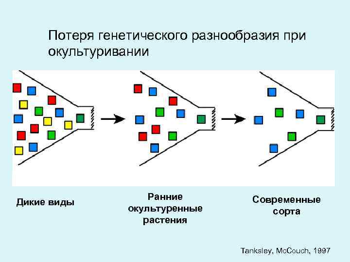 Генетическое разнообразие