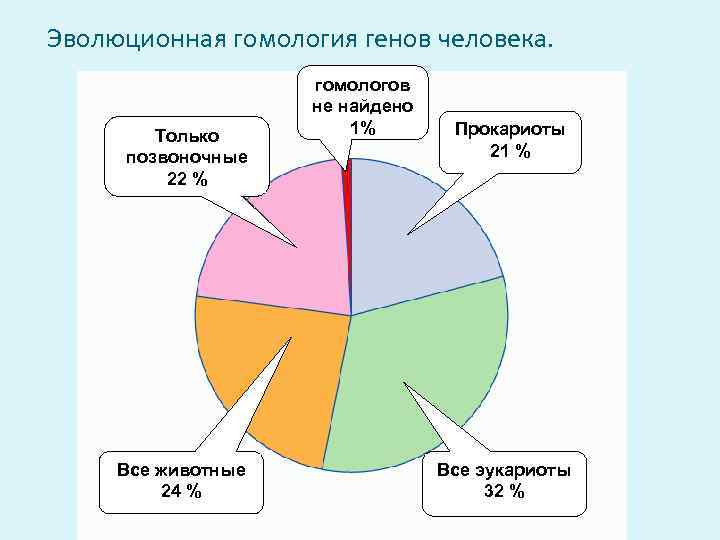 Эволюционная гомология генов человека. Только позвоночные 22 % Все животные 24 % гомологов не