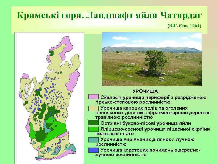 Кримські гори. Ландшафт яйли Чатирдаг (В. Г. Єна, 1961) УРОЧИЩА Скелясті урочища периферії з