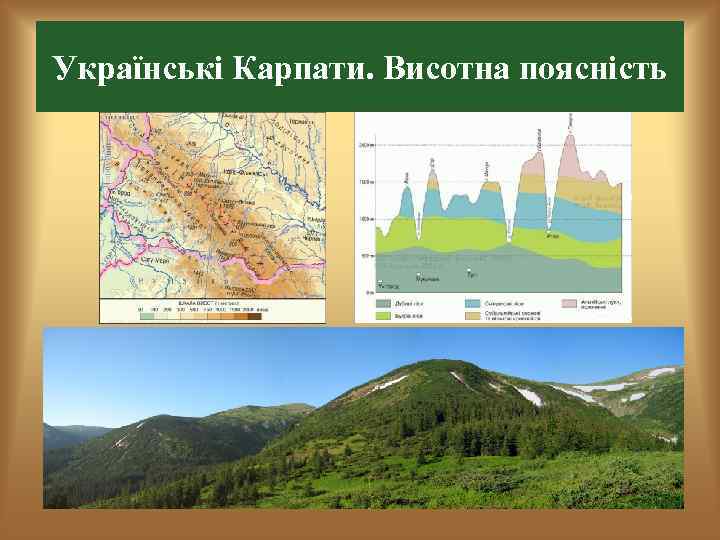 Українські Карпати. Висотна поясність 