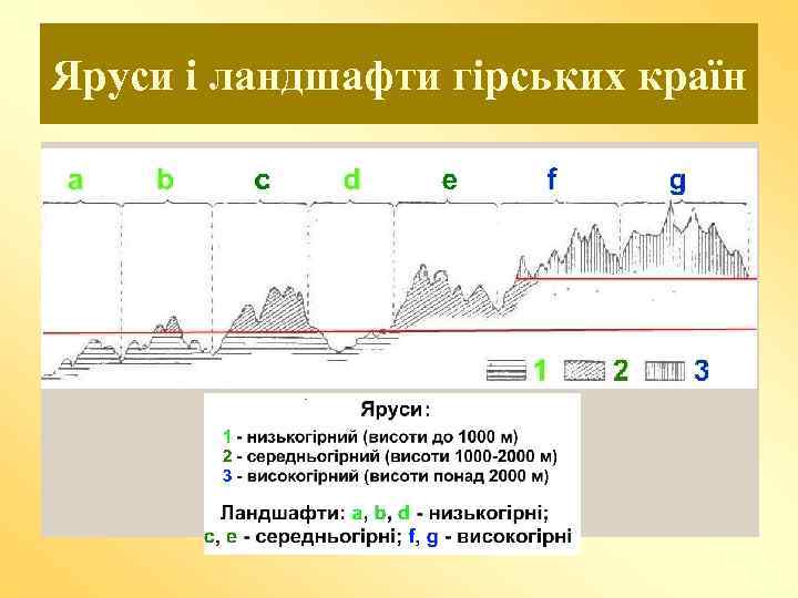 Яруси і ландшафти гірських країн 