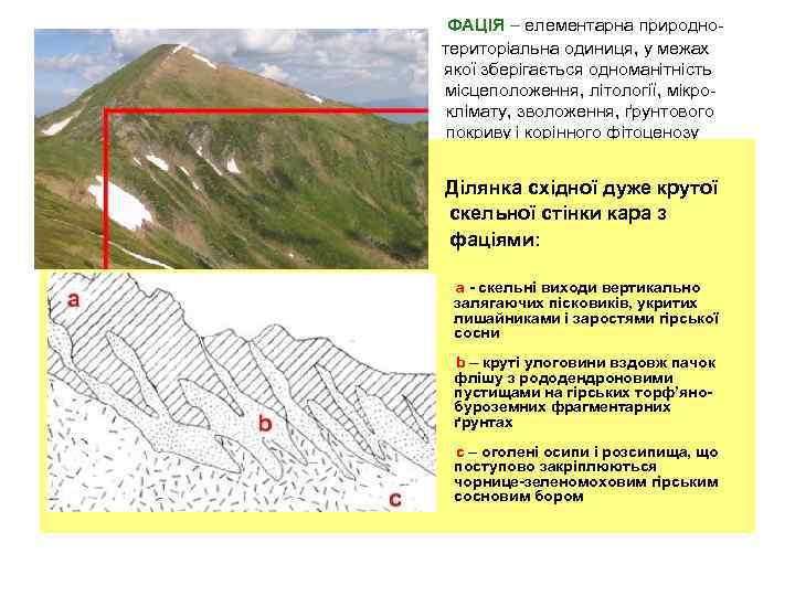 ФАЦІЯ – елементарна природнотериторіальна одиниця, у межах якої зберігається одноманітність місцеположення, літології, мікроклімату, зволоження,