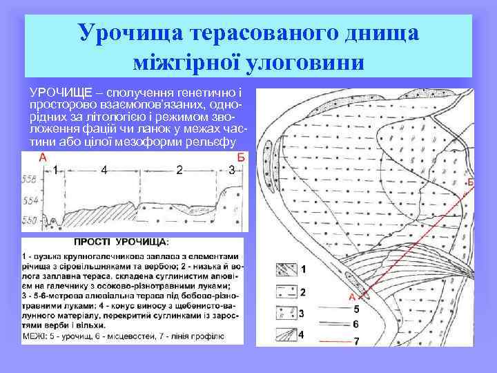 Урочища терасованого днища міжгірної улоговини УРОЧИЩЕ – сполучення генетично і просторово взаємопов’язаних, однорідних за