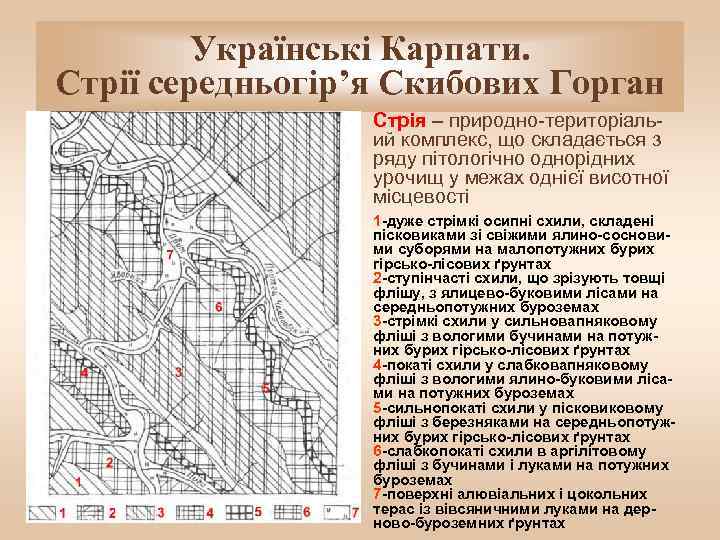 Українські Карпати. Стрії середньогір’я Скибових Горган Стрія – природно-територіальий комплекс, що складається з ряду