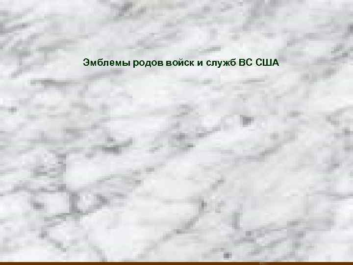 Эмблемы родов войск и служб ВС США 
