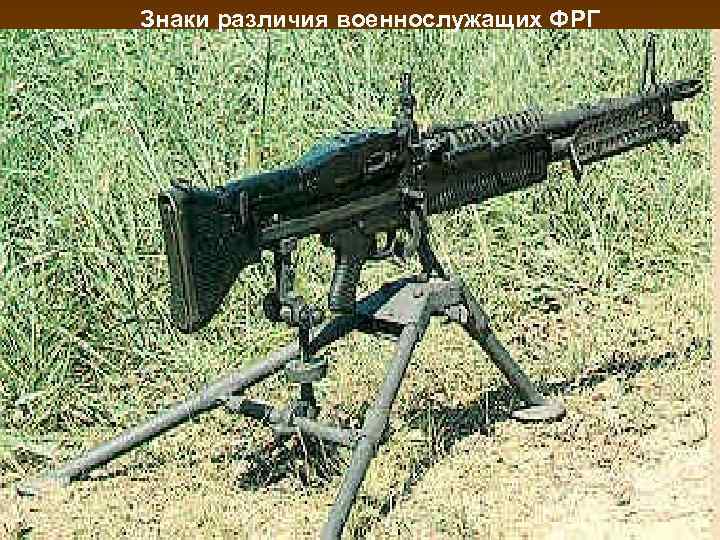 Знаки различия военнослужащих ФРГ 