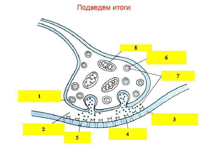 Подведем итоги: 8 6 7 1 3 2 5 4 