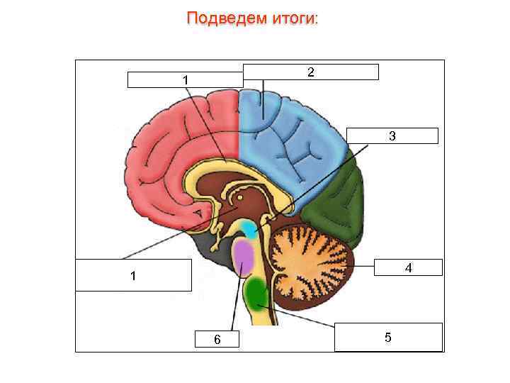 Подведем итоги: 2 1 3 4 1 6 5 