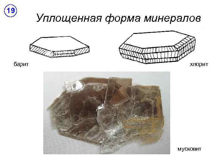 19 барит Уплощенная форма минералов хлорит мусковит 