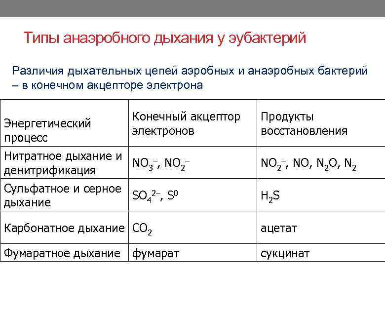 Типы анаэробного дыхания у эубактерий Различия дыхательных цепей аэробных и анаэробных бактерий – в