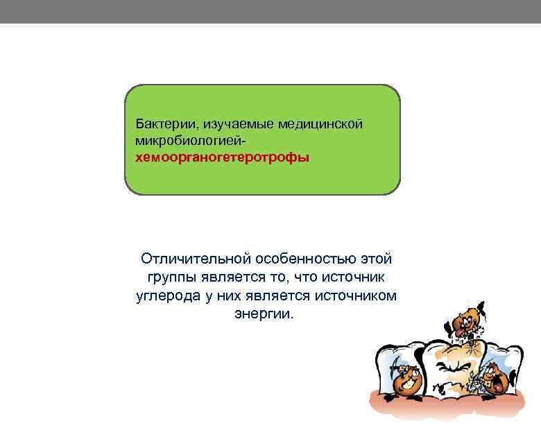 Бактерии, изучаемые медицинской микробиологией хемоорганогетеротрофы Отличительной особенностью этой группы является то, что источник углерода